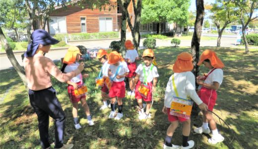 どんぐり拾い　さくら　10月11日