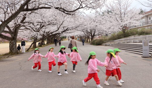 お花見　ひまわり・さくら組　4月