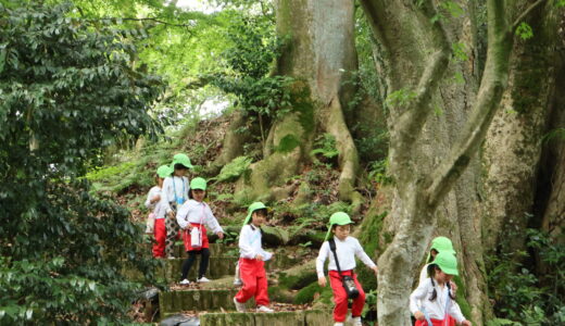 かがで学ぶ　錦城山公園（大聖寺城址跡）６月１８日