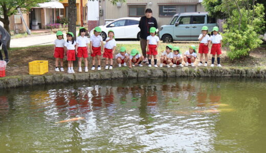 鯉のひっこし　6月13日