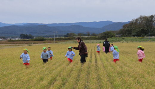 かがで学ぶ教室　干拓地の田んぼ　10月22日