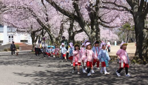 桜　お花見　中央公園　4月6日